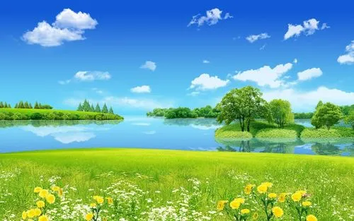创意稳定性独特